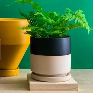 Set of 2 - Momma Planter Pots Porcelain Handmade 4.5 inch